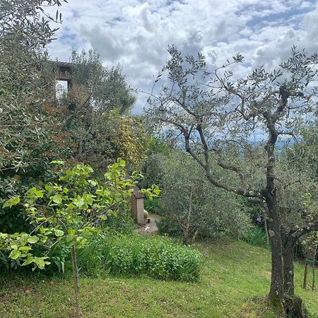 Podere Casallorto Volterra Dış mekan fotoğraf